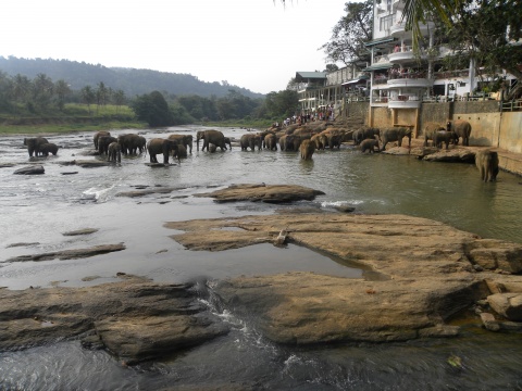 Sri Lanka