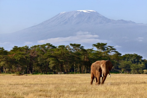 La Tanzanie et Zanzibar