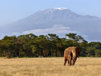 La Tanzanie et Zanzibar