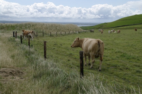Randonnée Irlande Septembre 2021