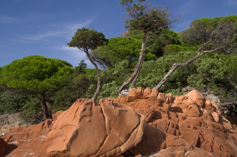 CORSE DU NORD 2025