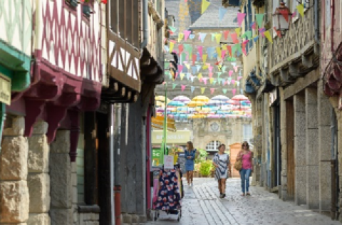 Rando vélo électrique Bretagne 2022 *