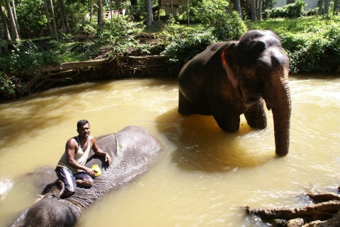 Le Sri Lanka