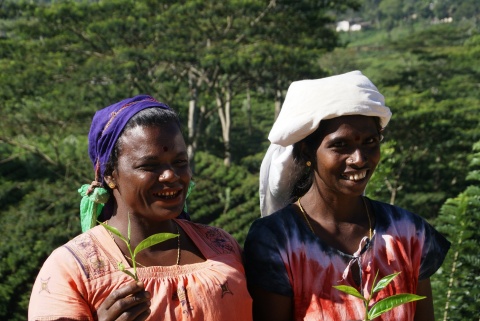 Le Sri Lanka