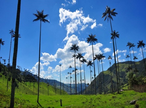 La Colombie