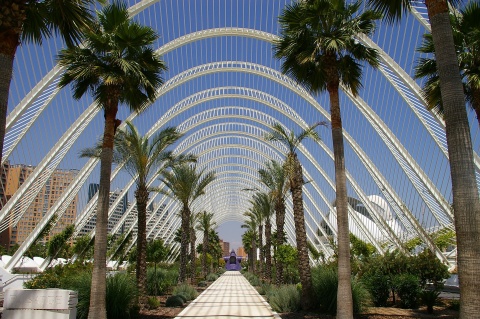 Valence