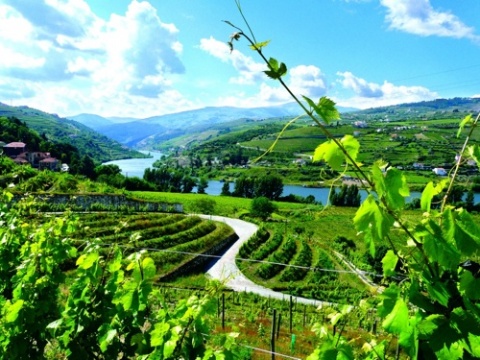 Porto et le Douro