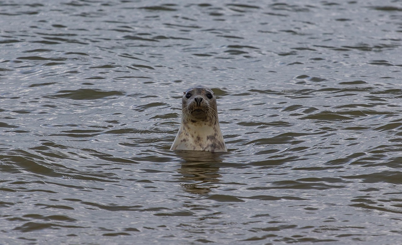 ESCAPADE DANS LES HAUTS-DE-FRANCE 2026